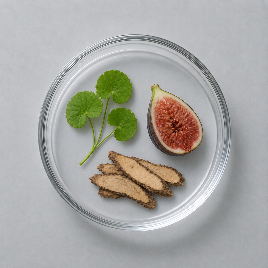 Complejo de Centella · Ficus · Paeonia